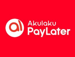 Rekomendasi Aplikasi Paylater Terpercaya Aman OJK
