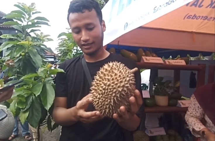 Varietas lokal durian bodrex Batang rasanya sangat khas.