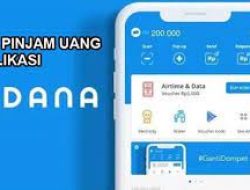 Aplikasi Pinjaman Online Anti Ribet dan Cepat!