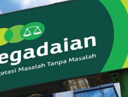 Info Loker Terbaru 2023 di Pegadaian, Syarat dan Kualifikasi yang Diterima