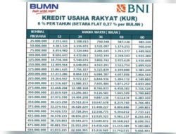 Syarat dan Cara Pengajuan KUR BNI 2023, Pengajuan Pinjaman Hingga Rp 500 Juta