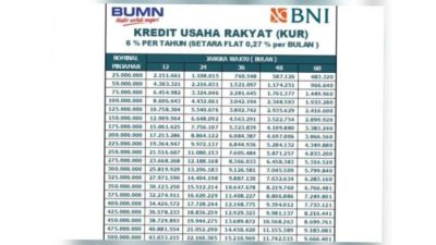KUR BNI 2023