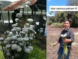 Event Trail di Jawa Barat Merusak Kebun Bunga Langka di Dunia
