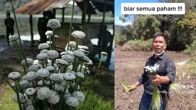 Event Trail di Jawa Barat Merusak Kebun Bunga Langka di Dunia