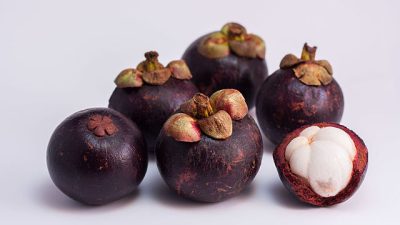 manfaat buah manggis