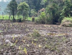 Ranca Upas Hancur Akibat Event Motor Trail yang Mendapat Kecaman Walhi Jawa Barat