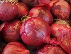 7 Manfaat Kulit Bawang, Ternyata Bisa Atasi Peradangan Hingga Infeksi