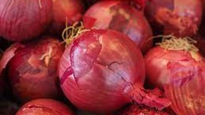 Manfaat kulit bawang