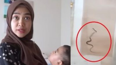 Ular Jelmaan Rumah Ria Ricis