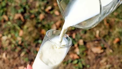 5 Manfaat Susu Bagi Tubuh, Untuk Menjaga Kesehatan Tulang Salah Satunya