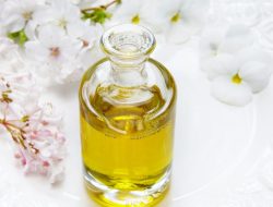 5 Rekomendasi Parfum Refill Wangi Tahan Lama untuk Kamu yang Berkegiatan Di Luar Ruangan