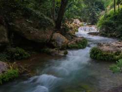 5 Fakta Balum Bili, Makhluk Mitologi Penunggu Sungai Aceh
