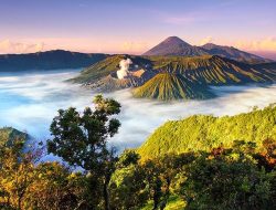 Fosil Hewan Air Kok di Puncak Gunung? Ini 5 Bukti Pulau Jawa Dulunya Adalah Laut