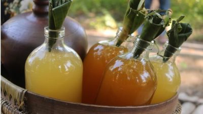 asal usul jamu
