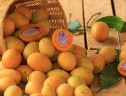 Ternyata dari Buah! Ini 4 Buah yang Jadi Nama Daerah di Jakarta