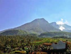 Gak Cuma di Pantai Selatan, Ke Sini Juga Gak Boleh Pakai Baju Hijau! Begini Mitos di Gunung Lawu
