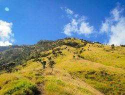 Jangan Mendaki ke Gunung Sumbing Sebelum Tahu 3 Fakta Unik Ini!