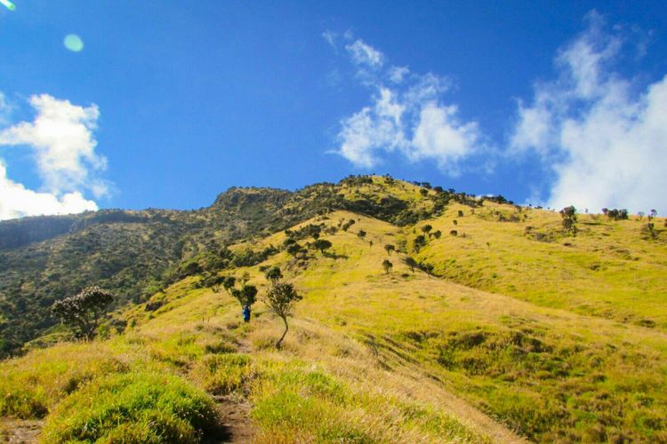 Fakta unik gunung sumbing