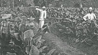 Sistem tanam paksa, penyebab makanan Jawa terasa manis.