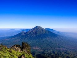 6 Jalur Pendakian Gunung Sindoro, Punya Bunga Abadi yang Harumnya Semerbak